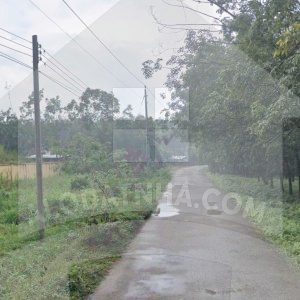 249m2 đất mặt tiền đường nhựa 7m phường Chánh Phú Hòa ngay khu dân cư, gần chợ, trường học, khu công nghiệp