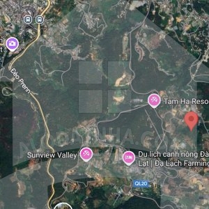 30.000 m2 ngay đèo Mimosa Đà Lạt có view rừng thông - thích hợp làm homestay, farmstay