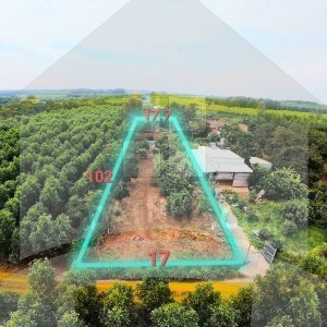 1650m2 đất ở Cẩm Mỹ, cách sân bay Long thành chỉ 20p xe máy, xung quanh là nhà thờ, chợ, trường học