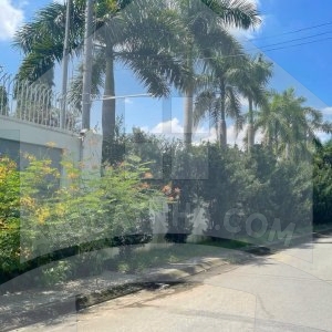 Nhà vườn 700m2 view sông ngay trung tâm thành phố Biên Hòa.