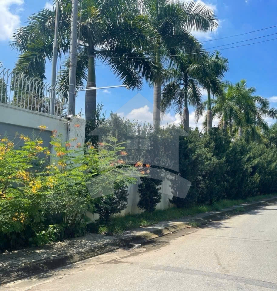 Nhà vườn 700m2 view sông ngay trung tâm thành phố Biên Hòa.